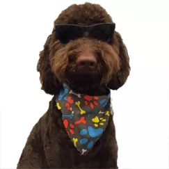 staff member