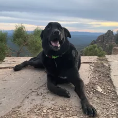 staff member
