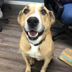 staff member
